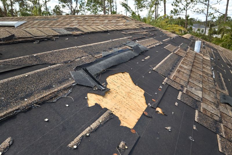Damaged Shingle Replacement