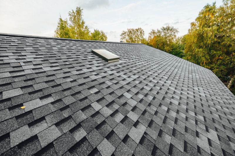 Asphalt Shingle Replacement detail