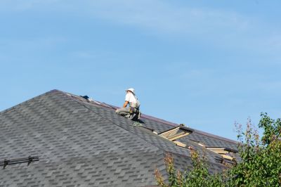 Roof Repair in Action
