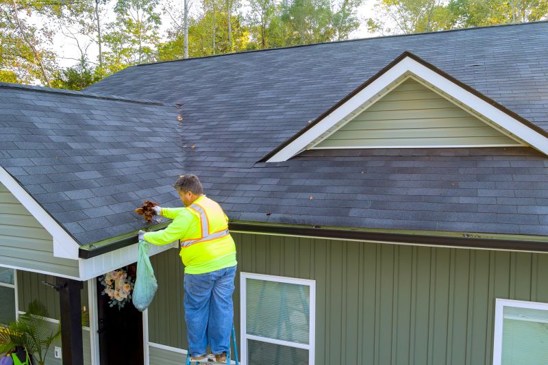 Gutter and Roof Maintenance